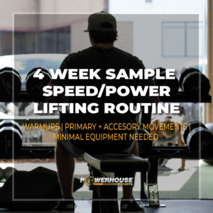 sample lifting program